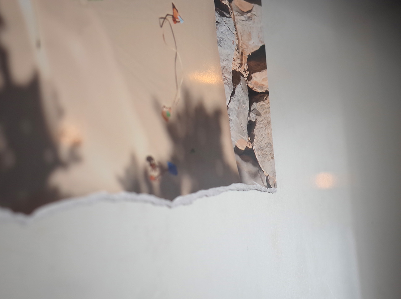 Exhibition 11