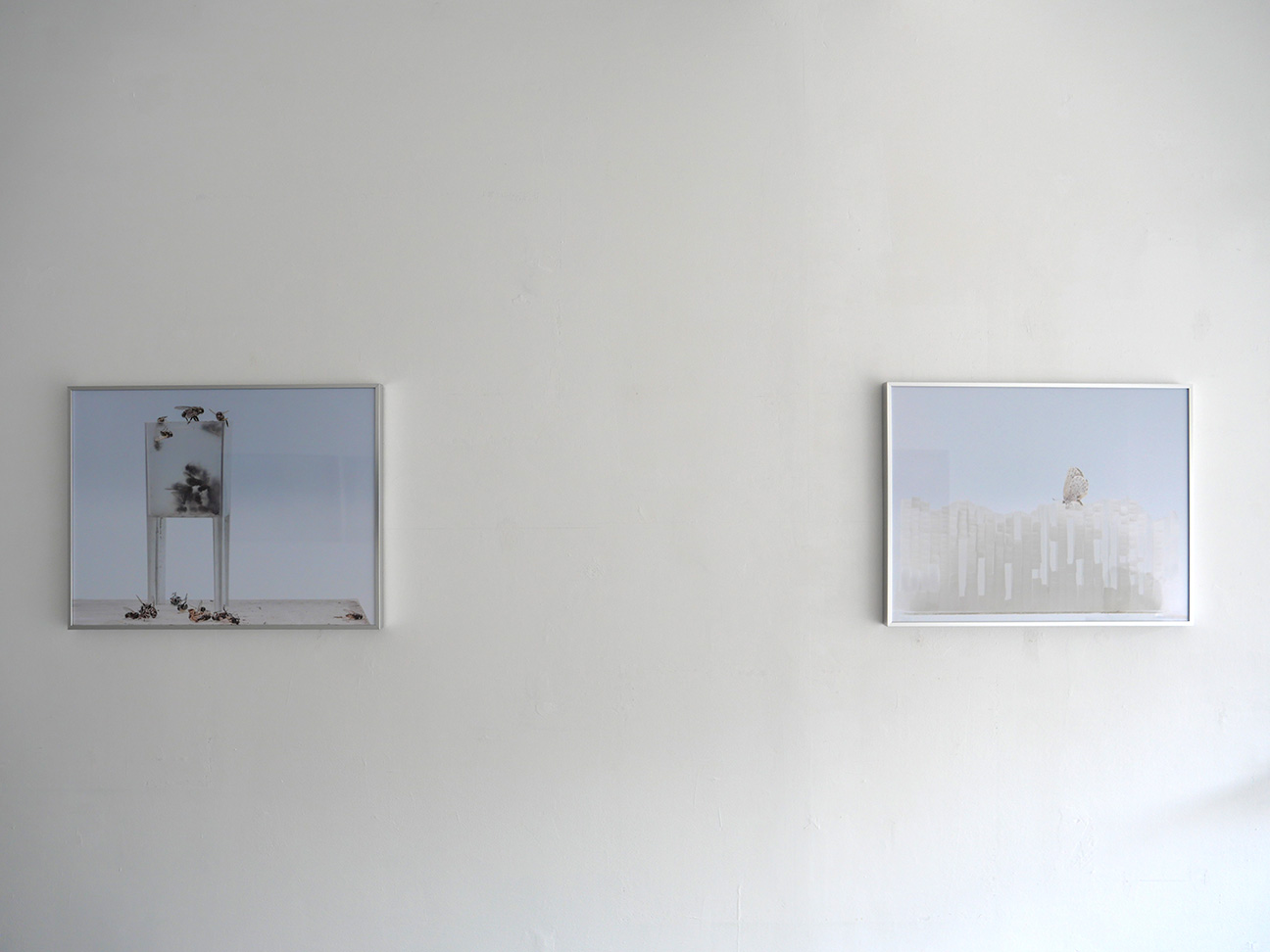 galleryUnfold Image 12